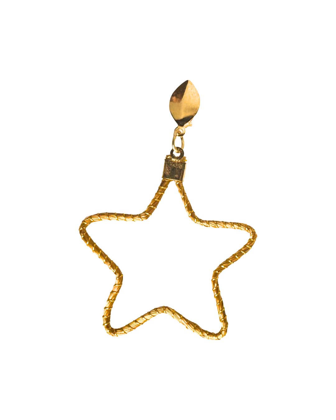 Golden Grass Earring in Star Shape